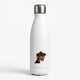 Back to SchoolWater Bottles