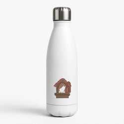 The Window White Water Bottle