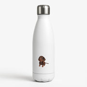 Brown - Dachshunds Water Bottle 1