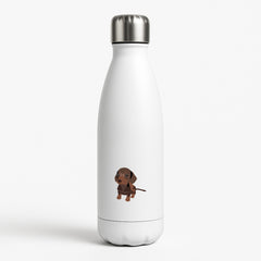 Brown - Dachshunds Water Bottle
