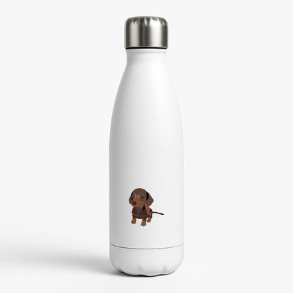 Brown - Dachshunds White Water Bottle
