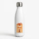 DisneyWater Bottles