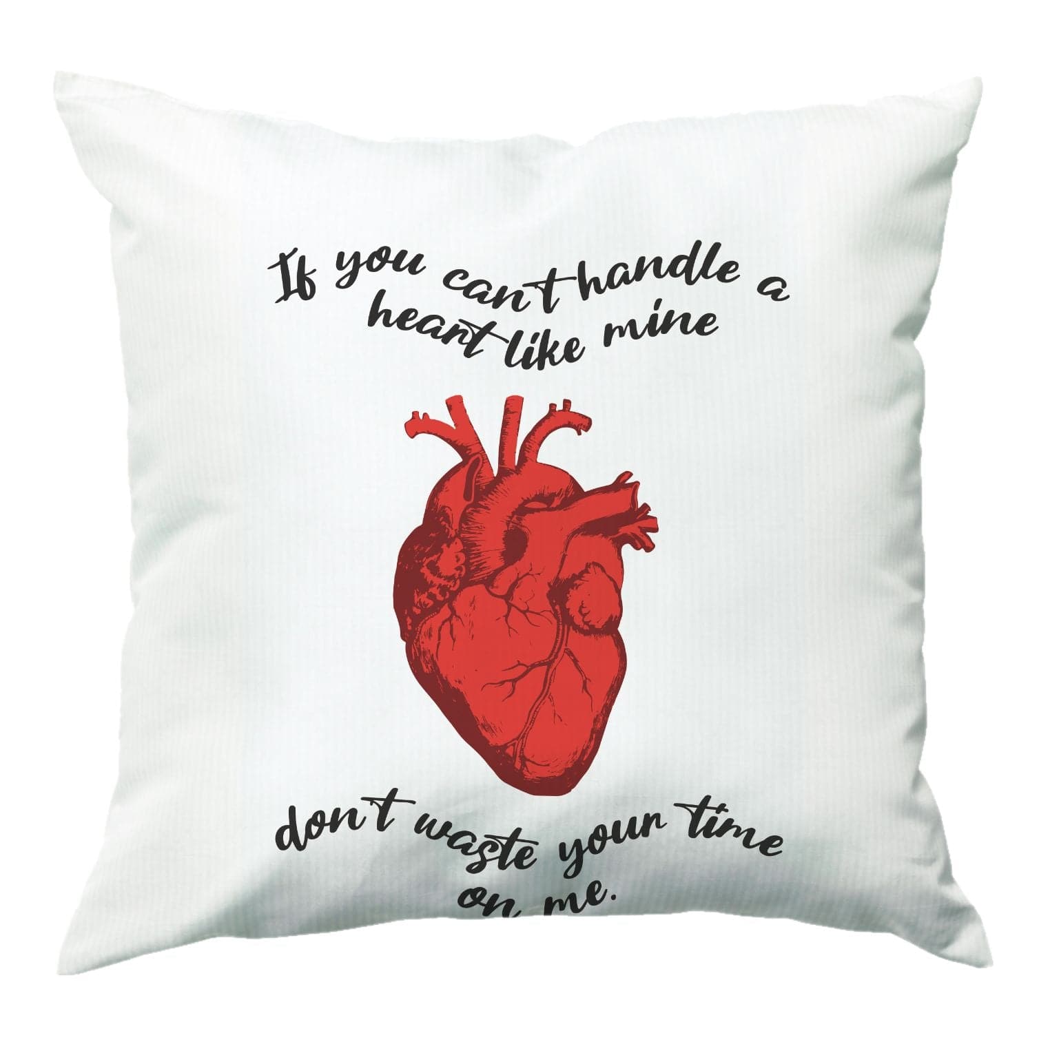 Don't Waste Your Time On Me Cushion