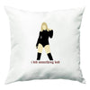 Taylor Swift Cushions
