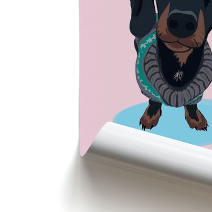 Cartoon Dachshund Poster