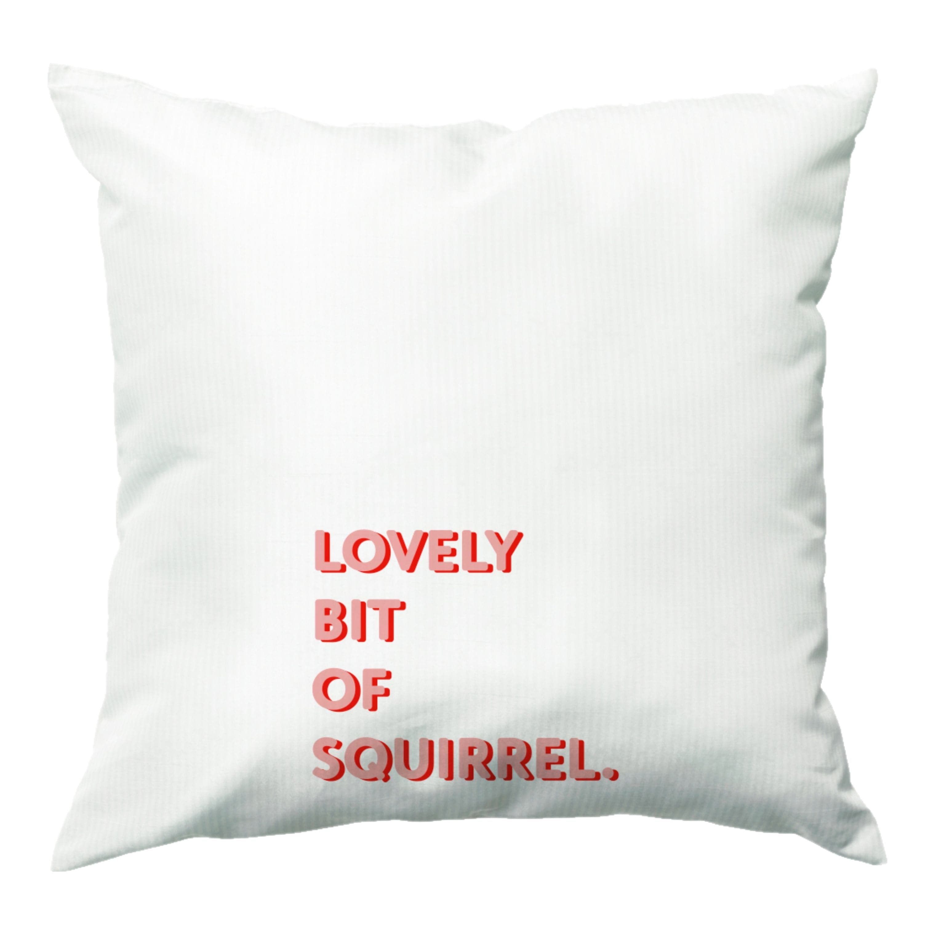 Lovely Bit Of Squirrel - FND Cushion