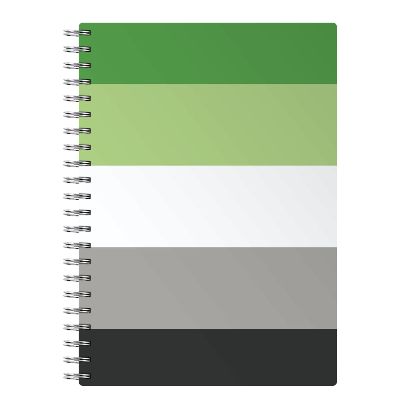 Aromantic Flag - Pride Notebook