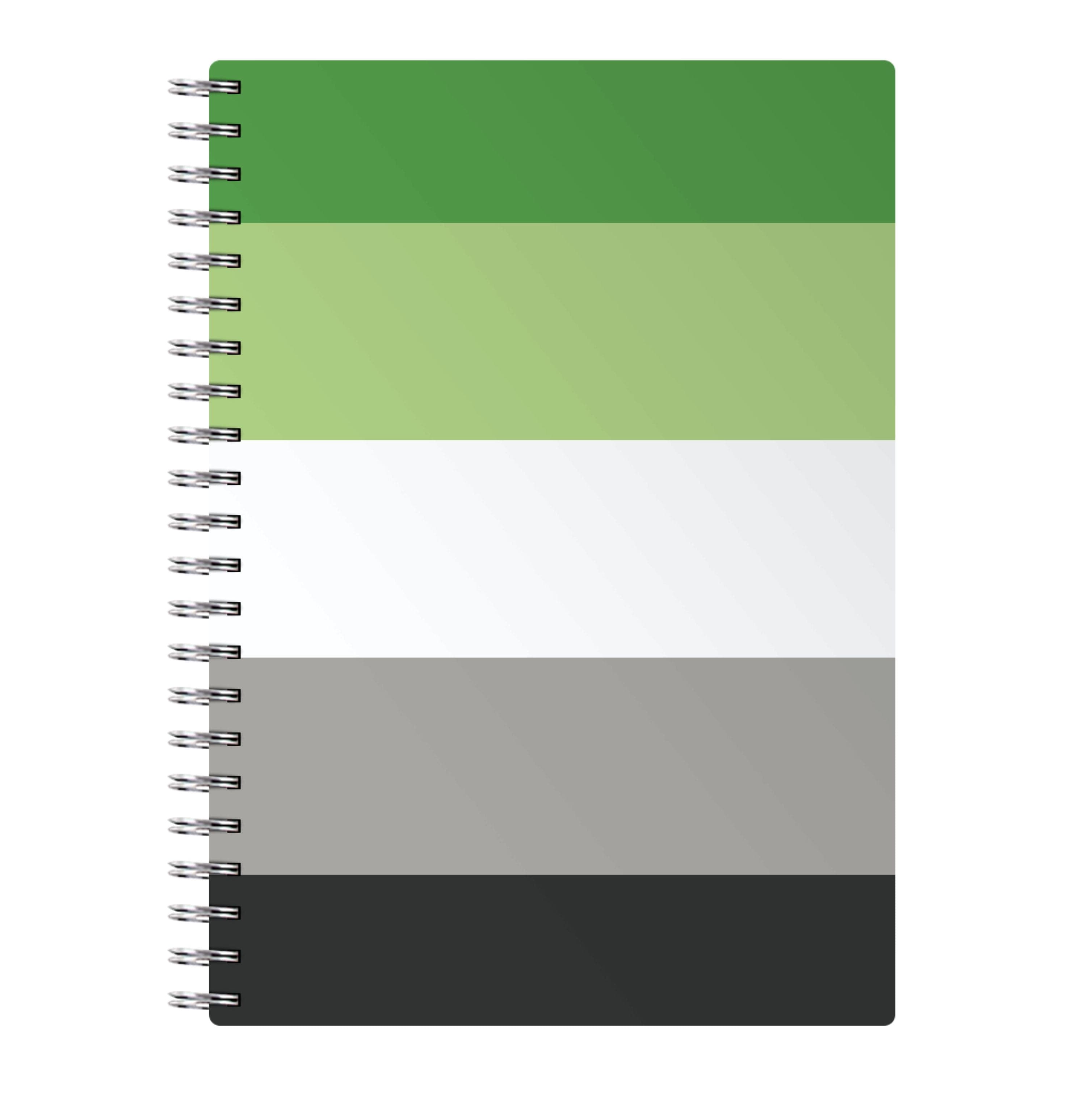 Aromantic Flag - Pride Notebook