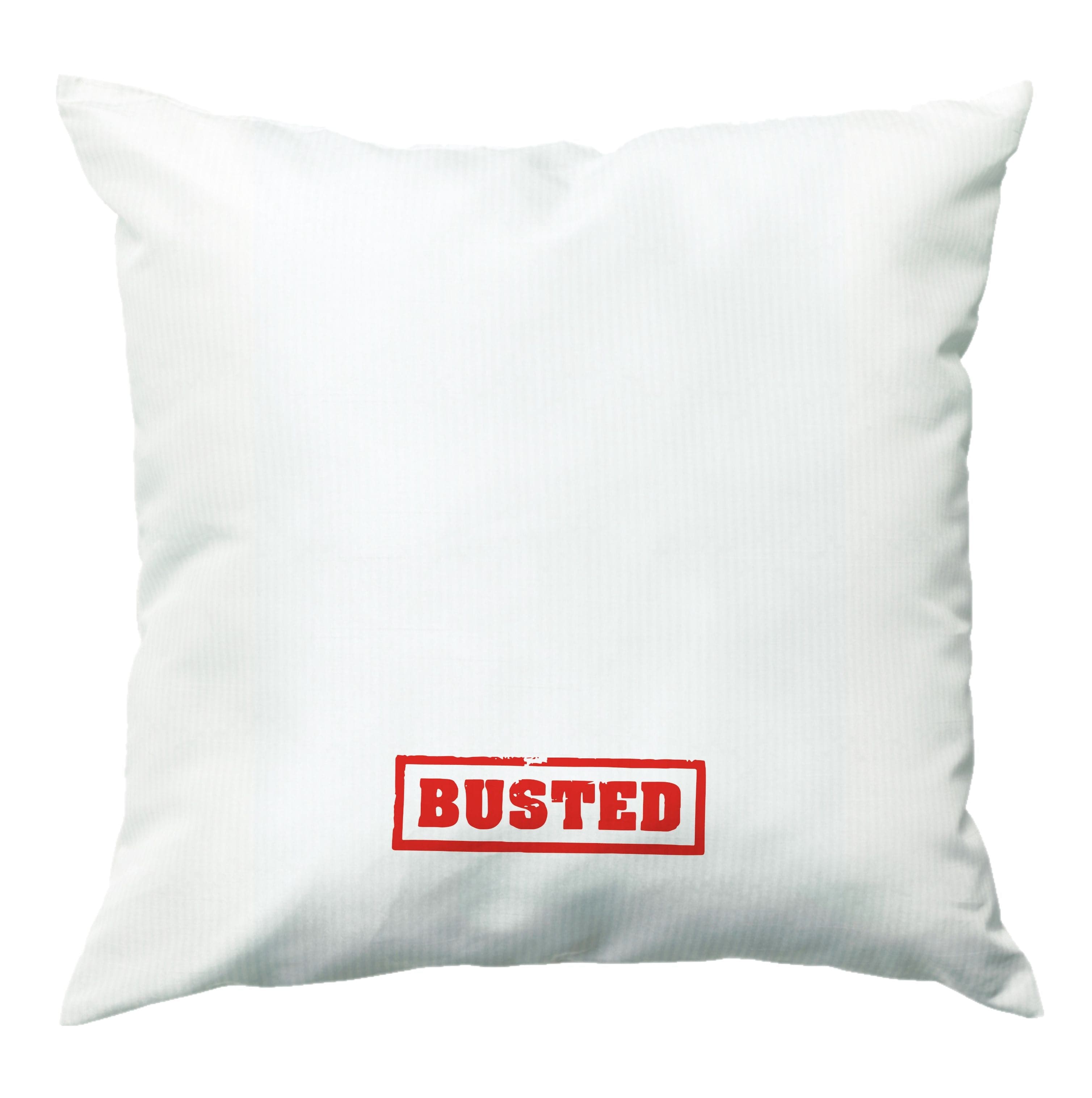 Band Logo - Bust Band Cushion