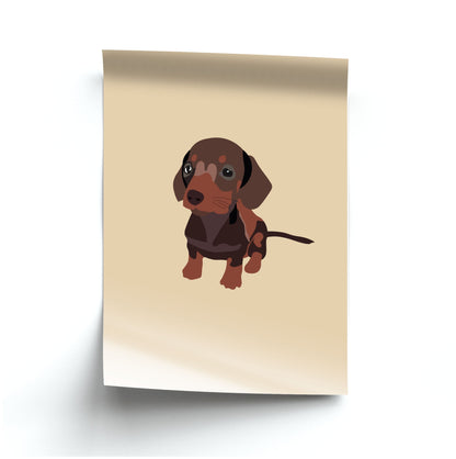 Brown - Dachshunds Poster