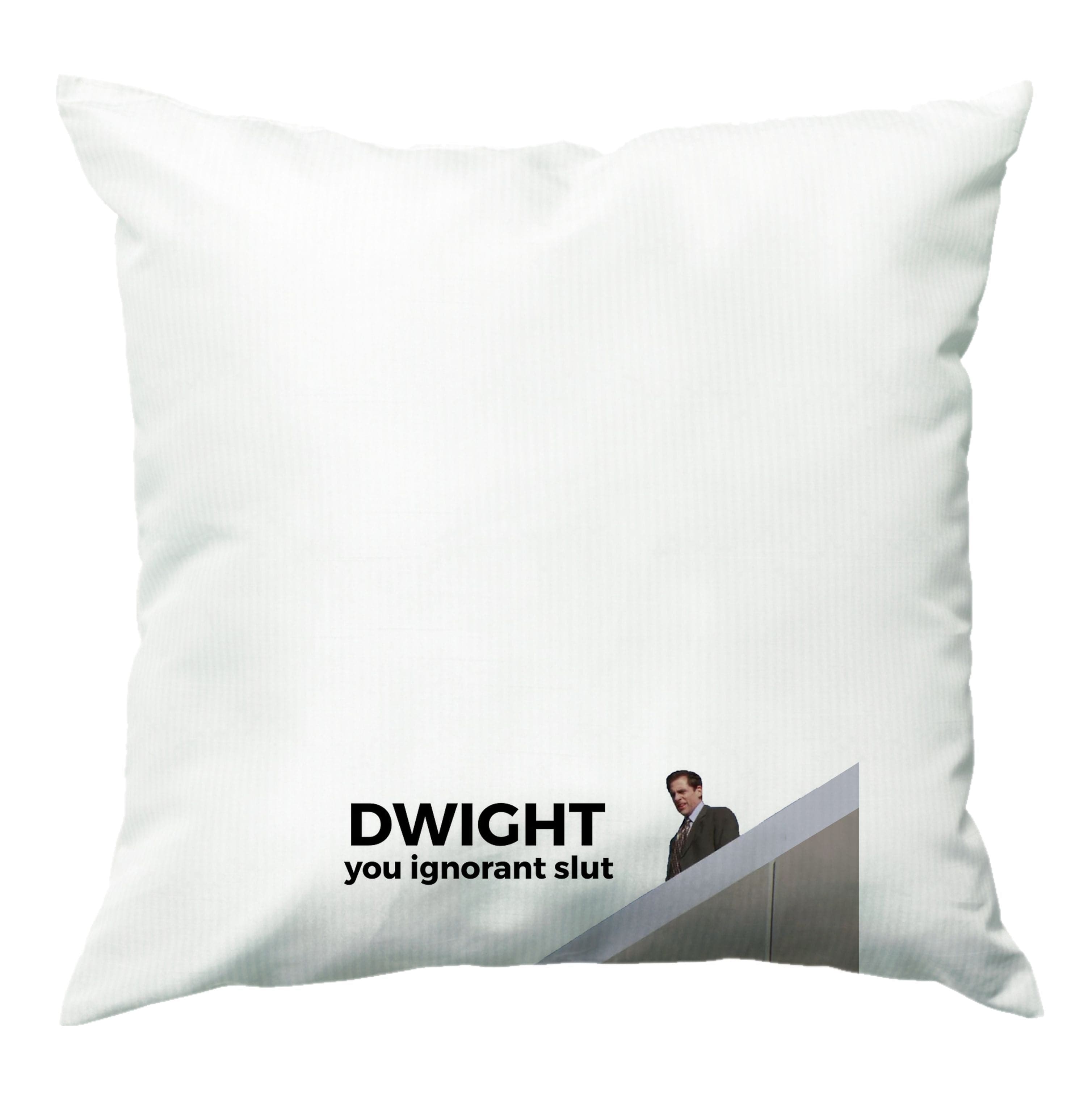 dwight, you ignorant slut  Cushion