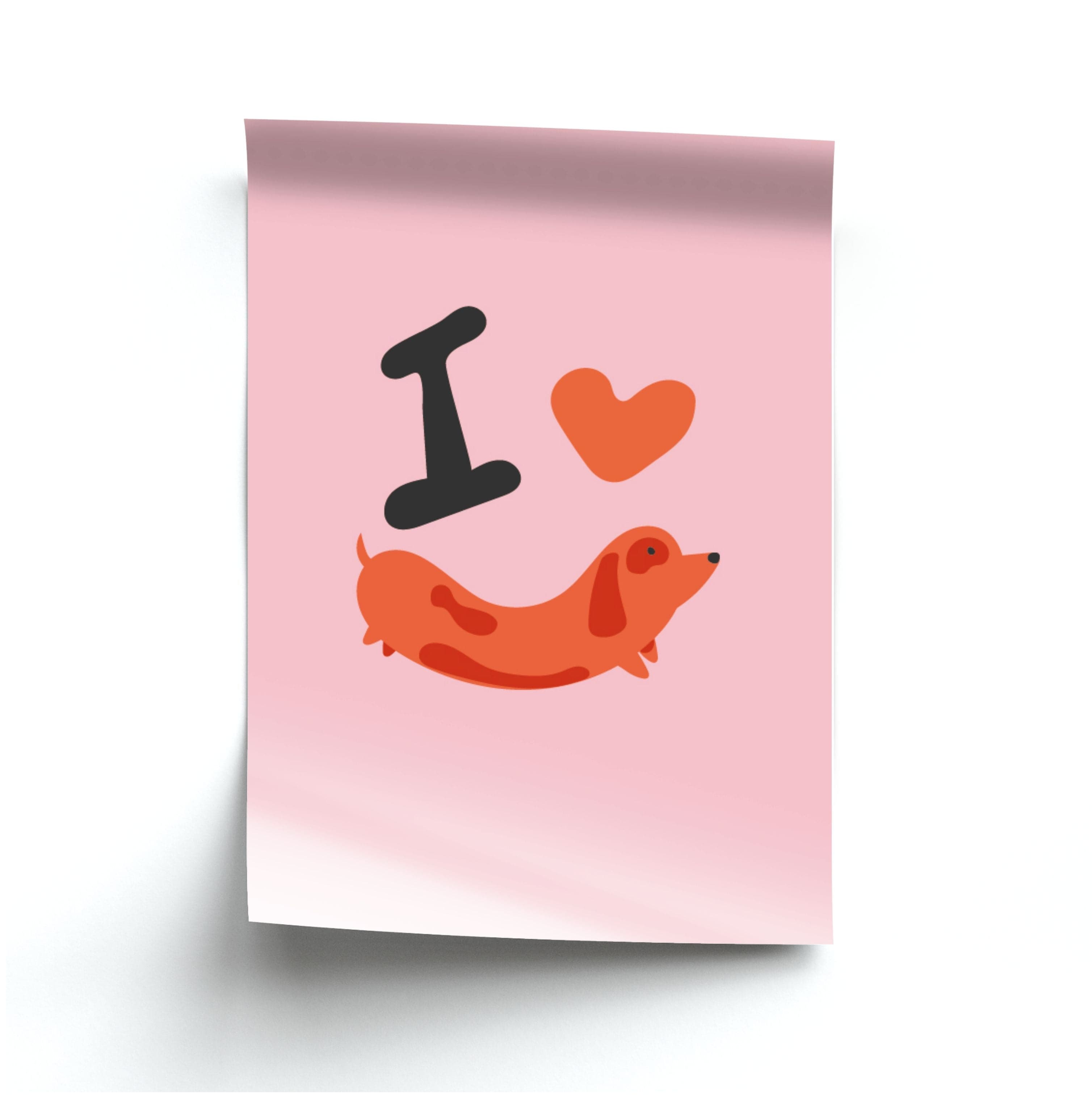 I love Dachshunds Poster