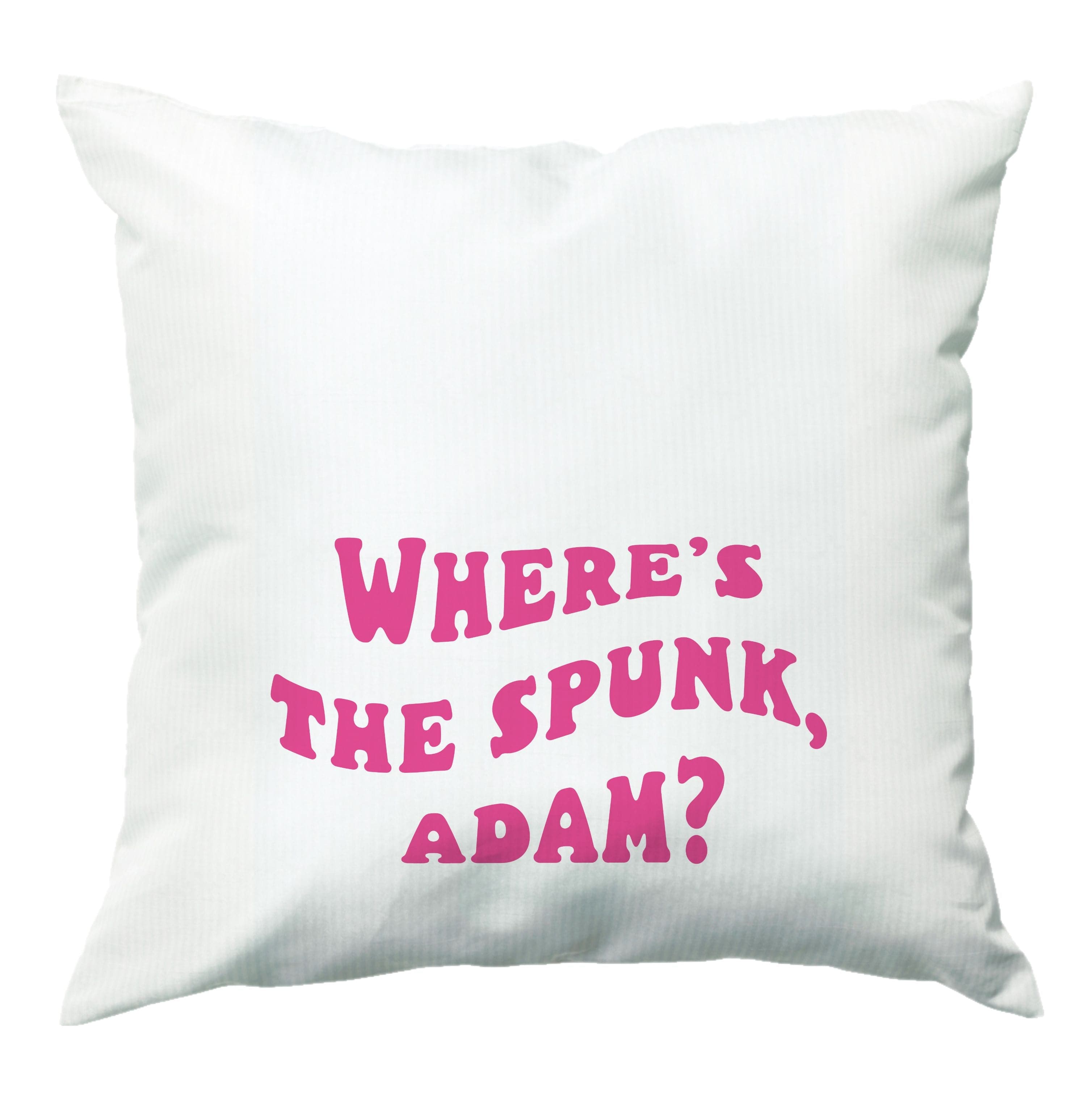 Wheres The Stuff Adam? Cushion