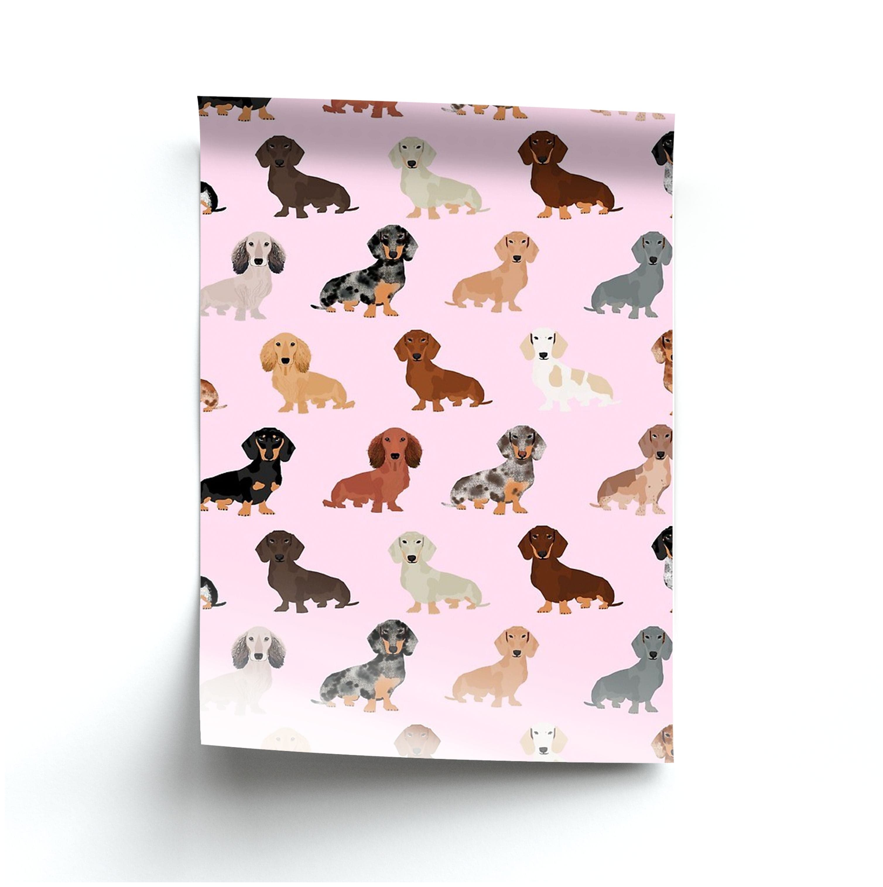 Dachshund Breed Pattern Poster