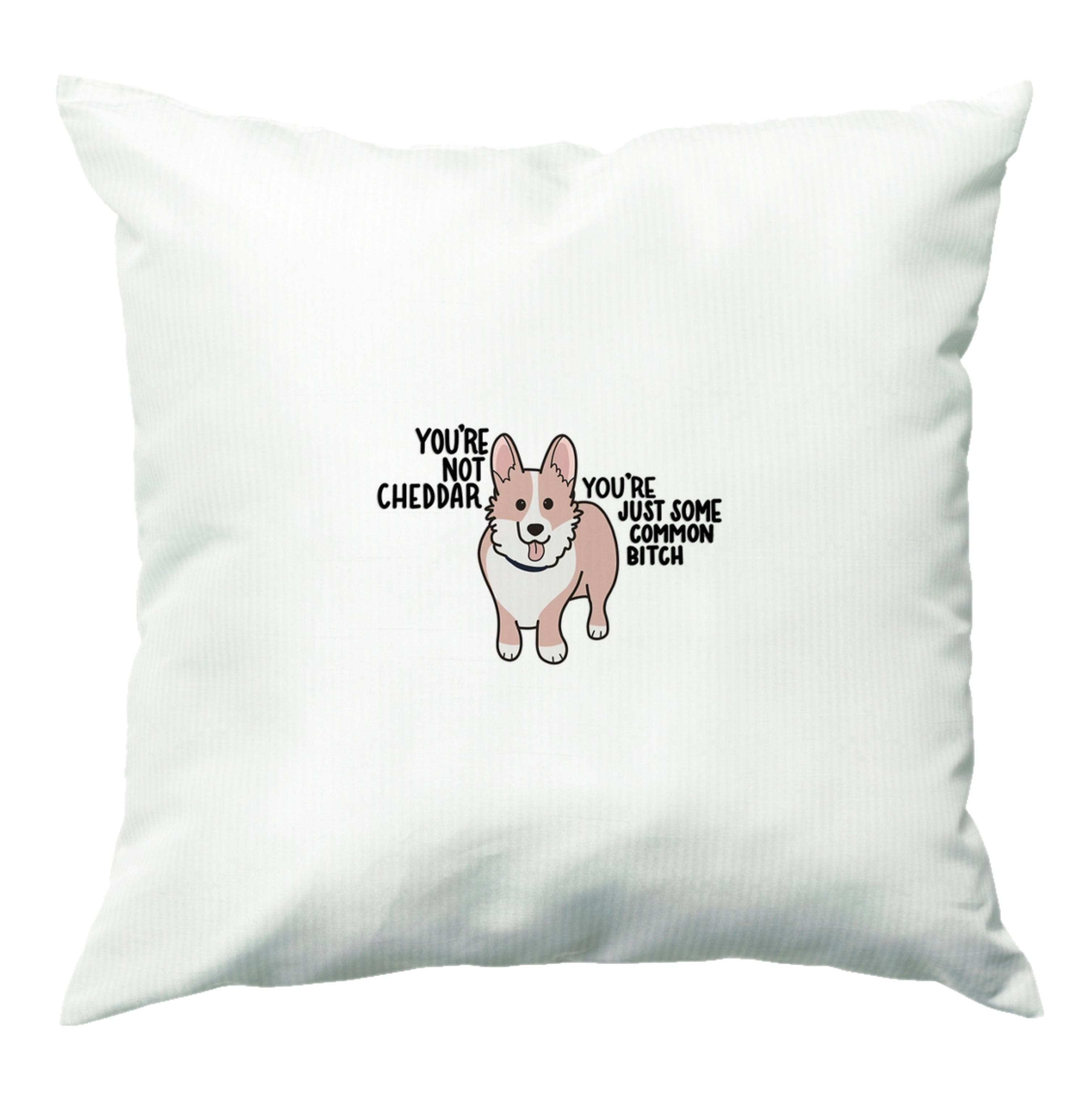 You're Not Cheddar - B99 Cushion