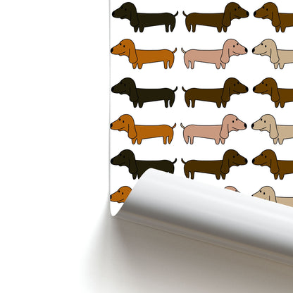 Collage - Dachshunds Poster