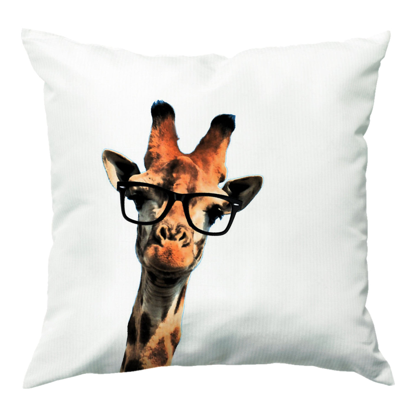 Hipster Giraffe Tumblr Cushion