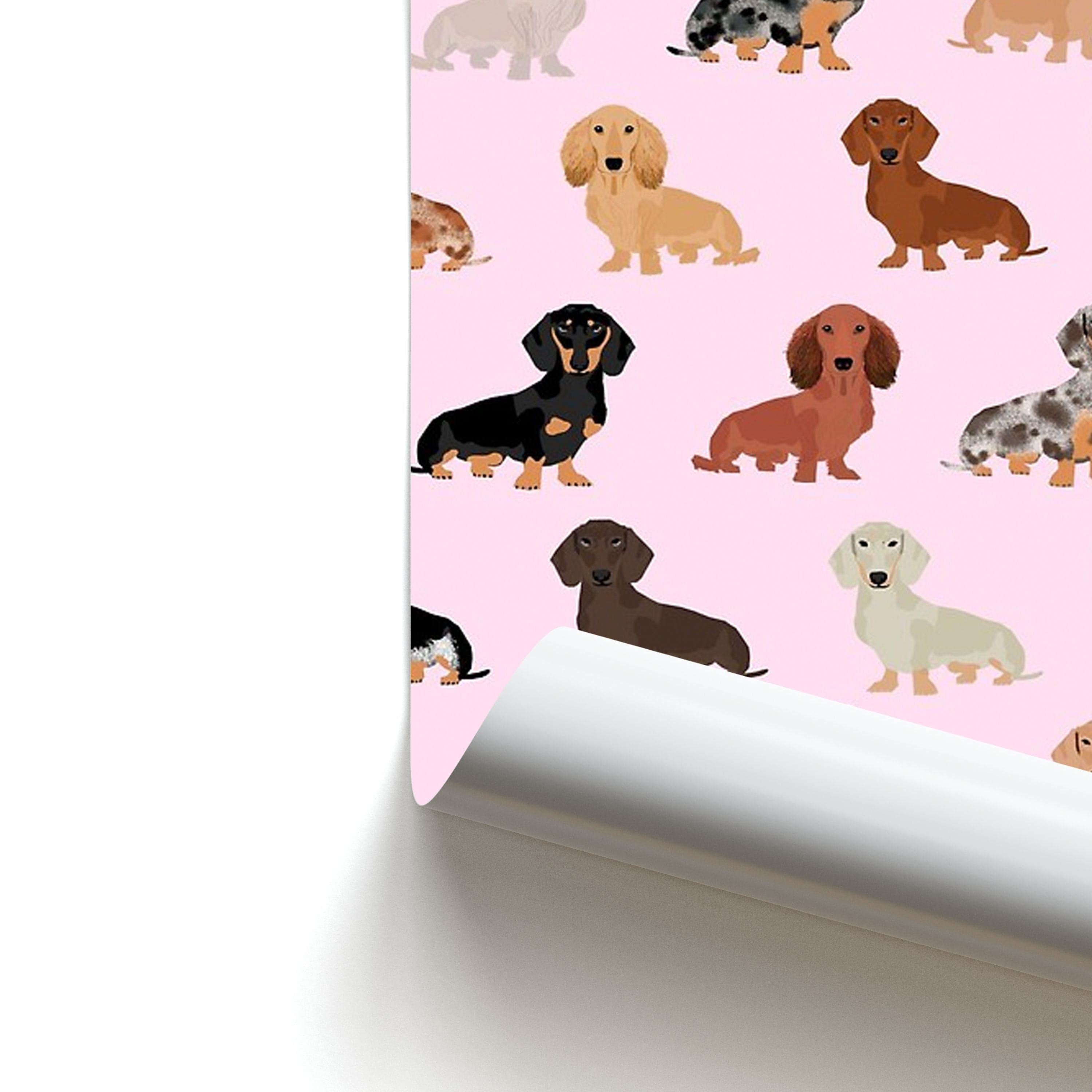 Dachshund Breed Pattern Poster