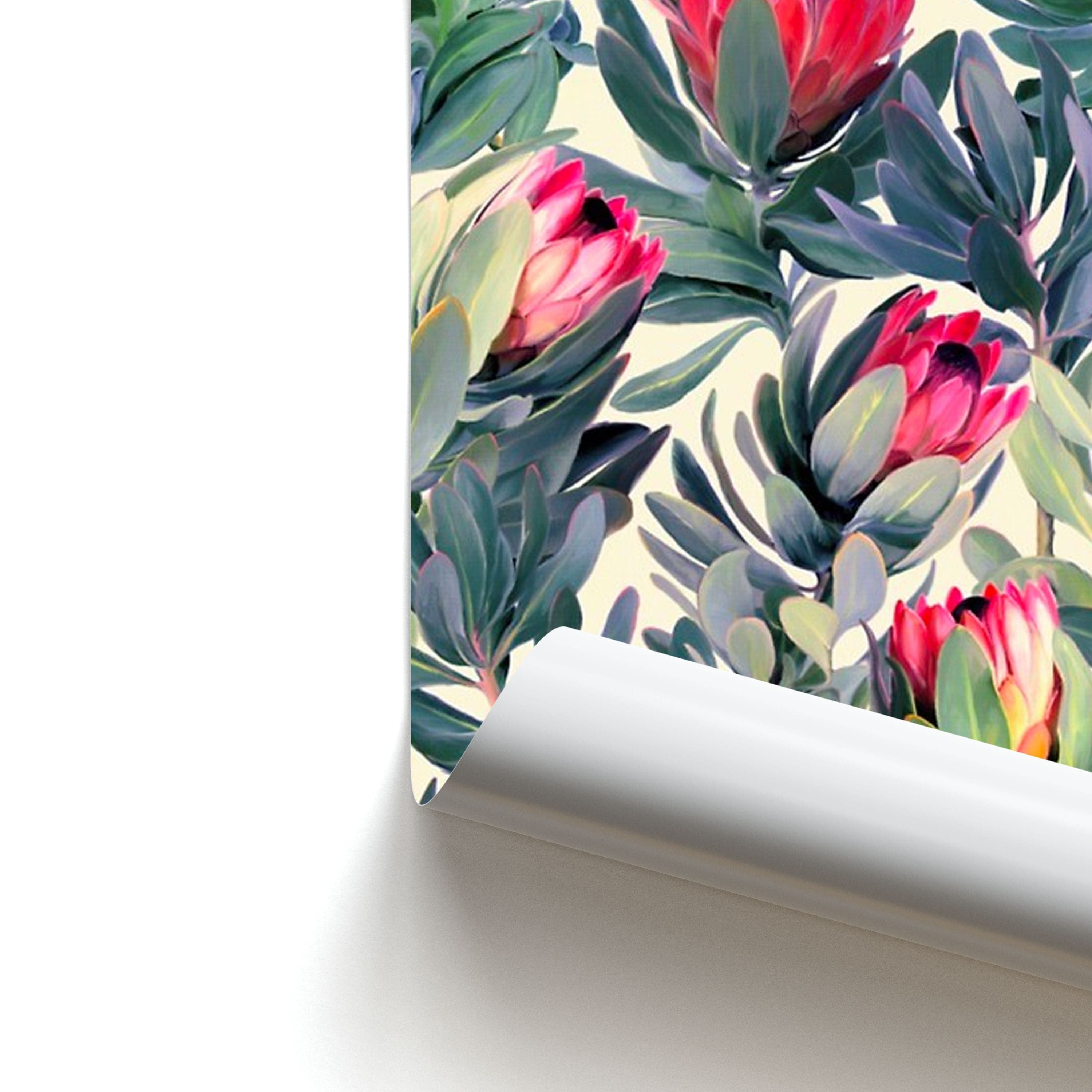 Painted Protea Pattern Poster