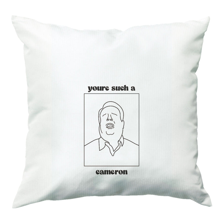 You're Such A Cameron - Modern Family Cushion