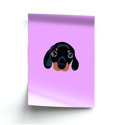 Black - Dachshunds Poster