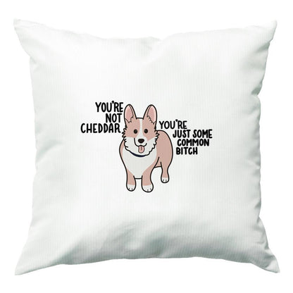 You're Not Cheddar - B99 Cushion