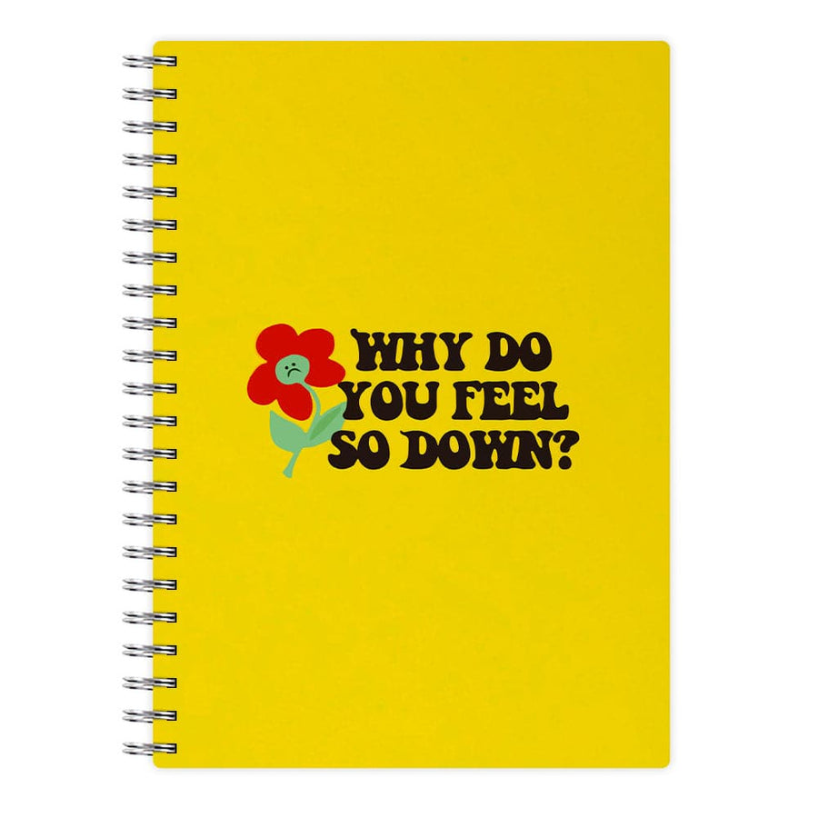 Why Do You Feel So Down - Sam Fender Notebook