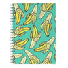 Summer Notebooks