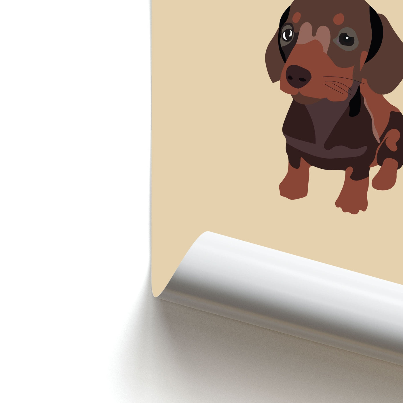 Brown - Dachshunds Poster
