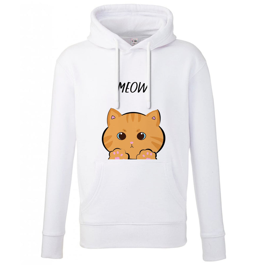 Ginger Cat - Cats Hoodie