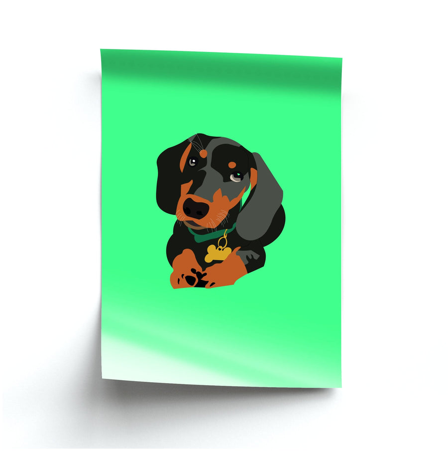 Black & brown - Dachshunds Poster