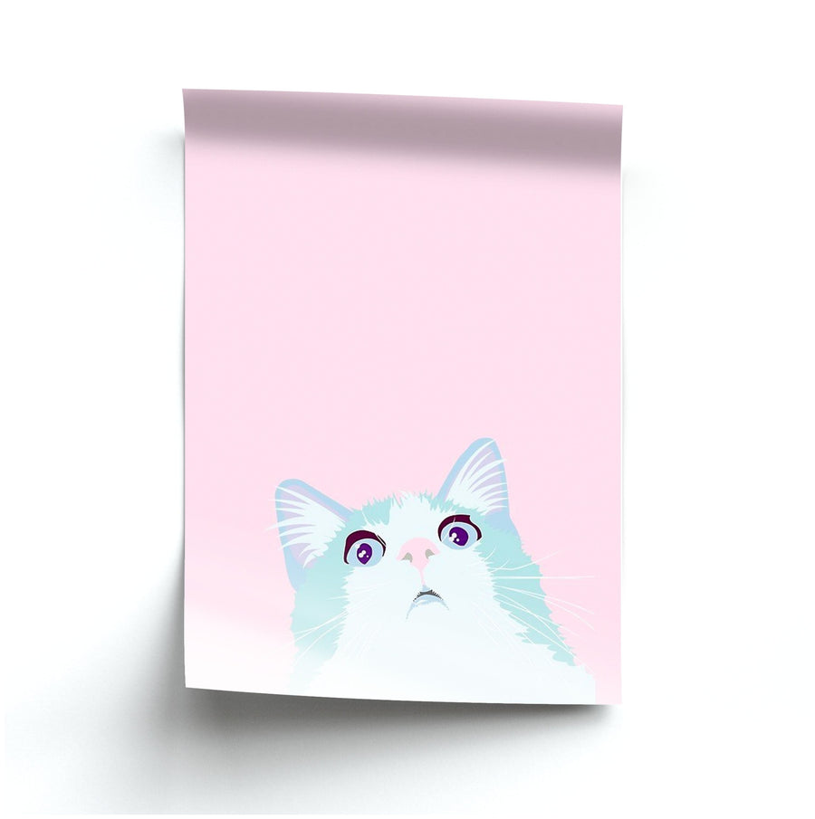 Curious Cat Poster