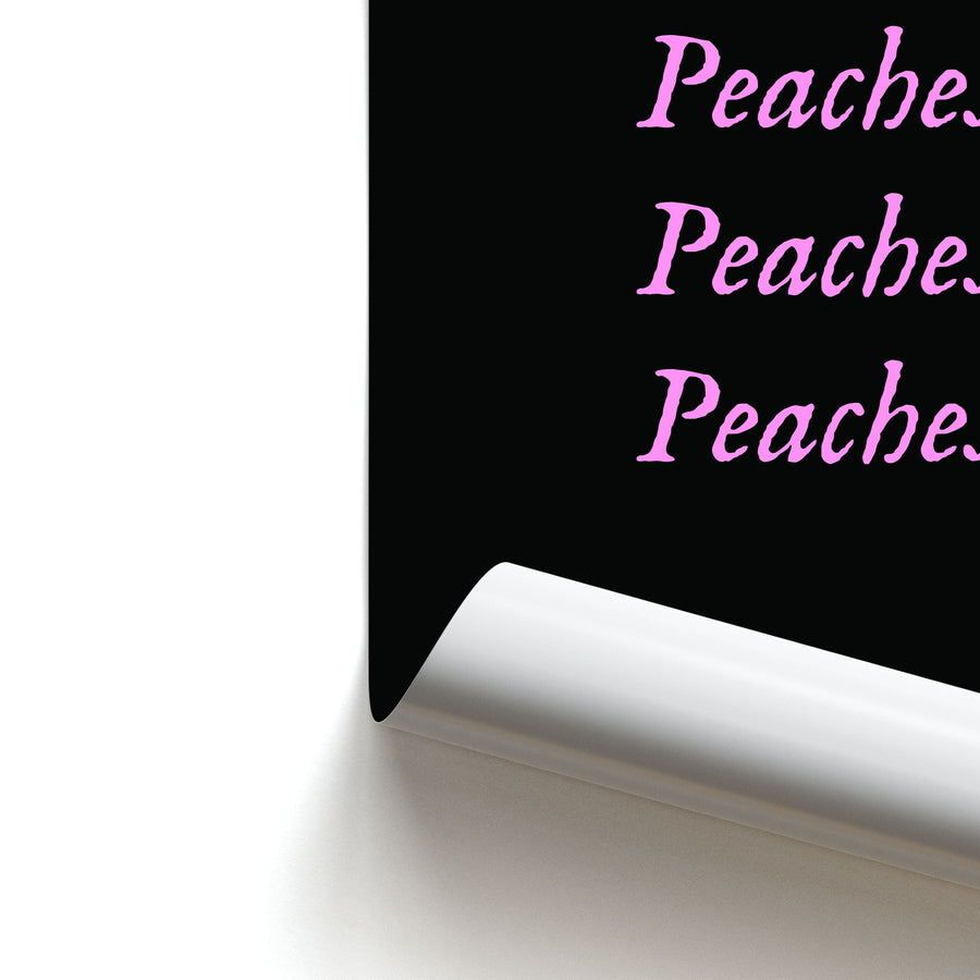 Peaches , Peaches , Peaches - The Super Mario Bros Poster