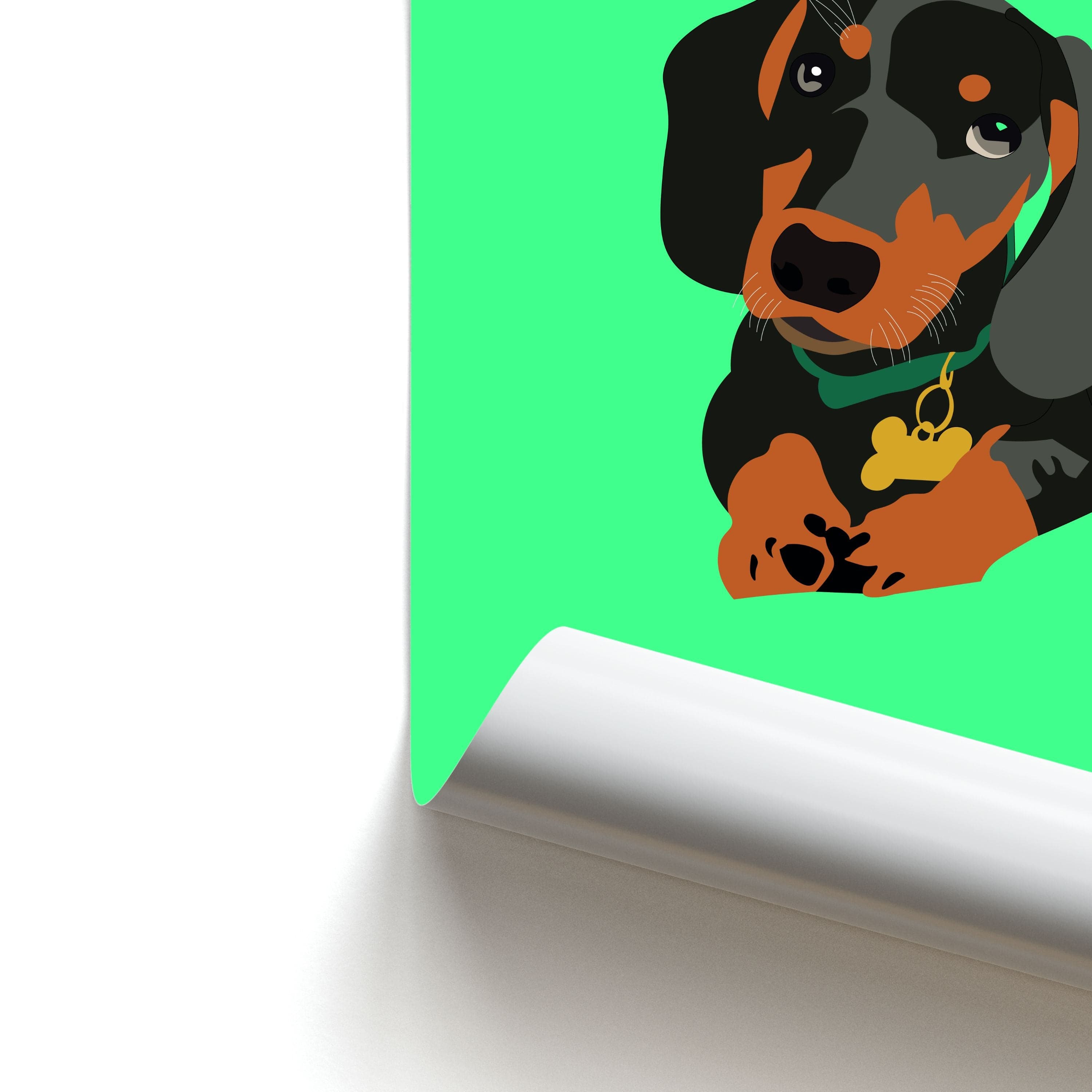 Black & brown - Dachshunds Poster