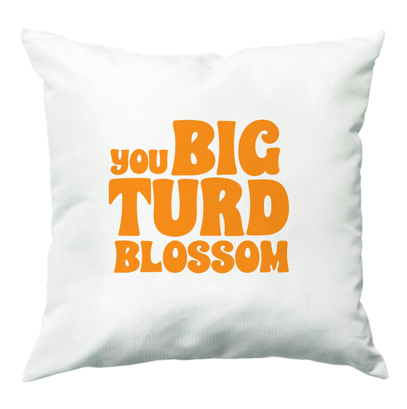 You Big Turd Blossom - Guardians Of The Galaxy Cushion