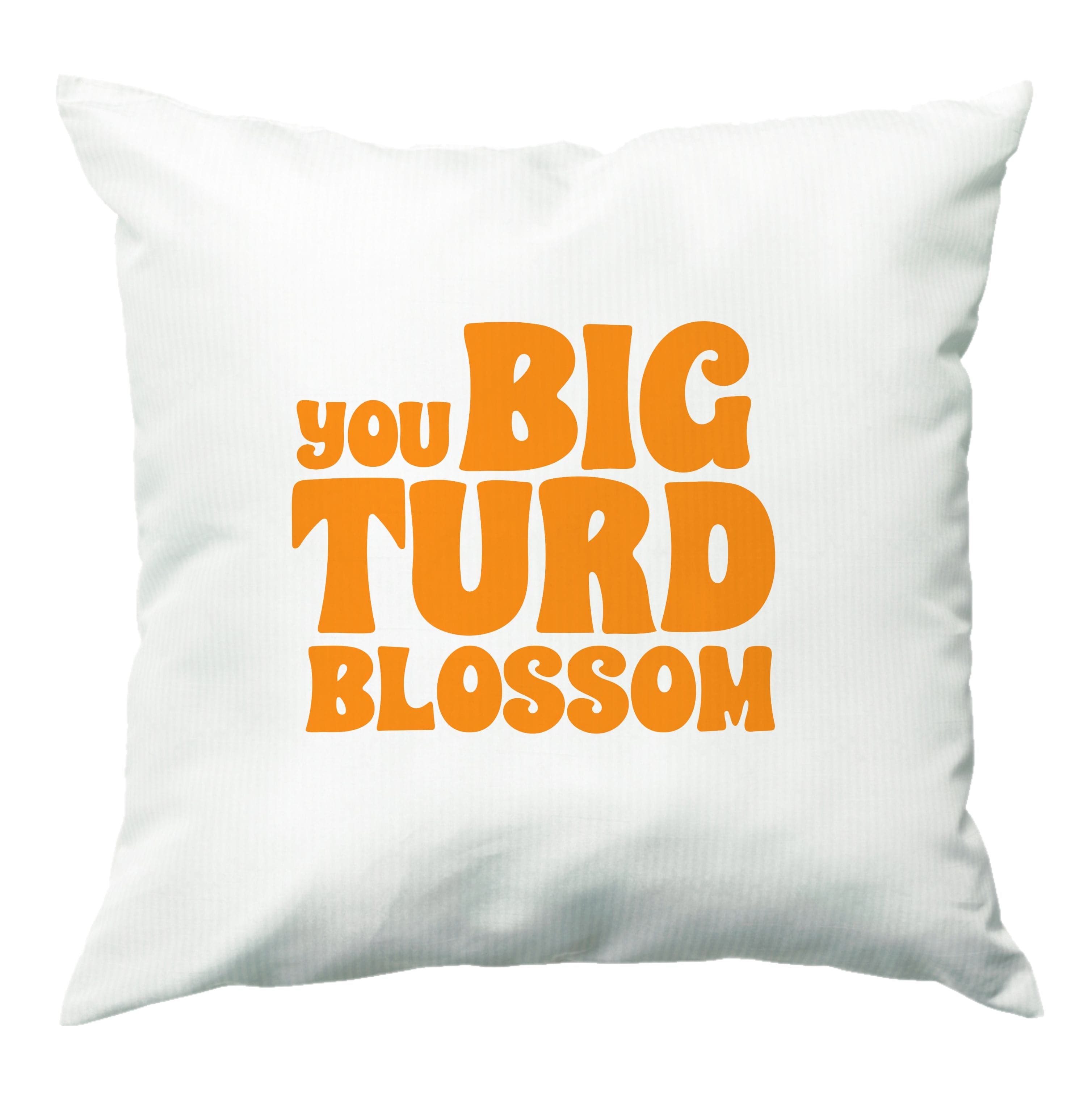 You Big Turd Blossom - GOTG Cushion