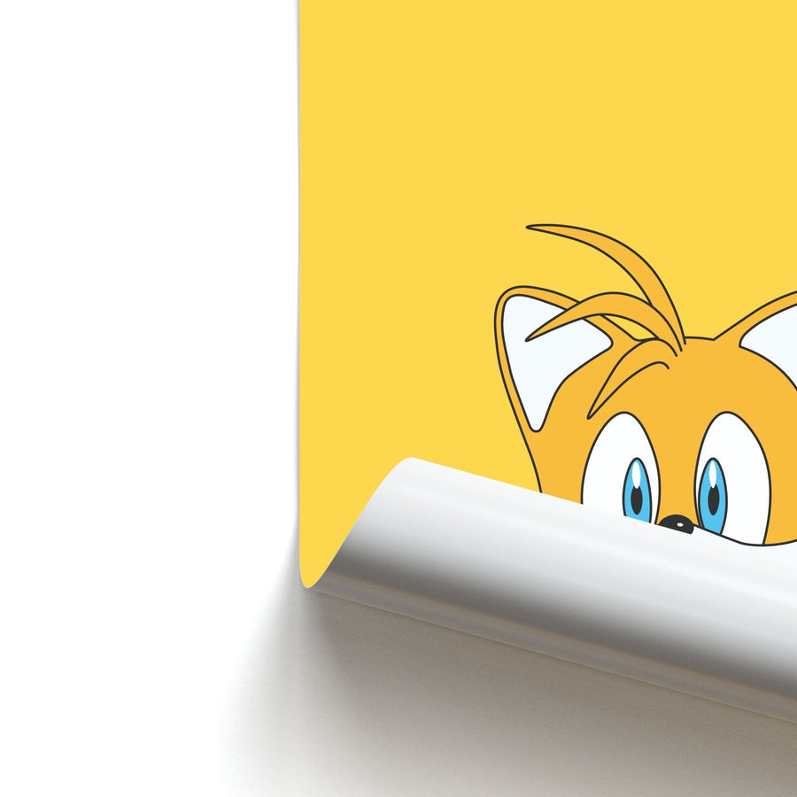 Ray - Sonic Poster
