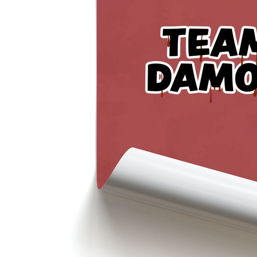Team Damon - Vampire Diaries Poster
