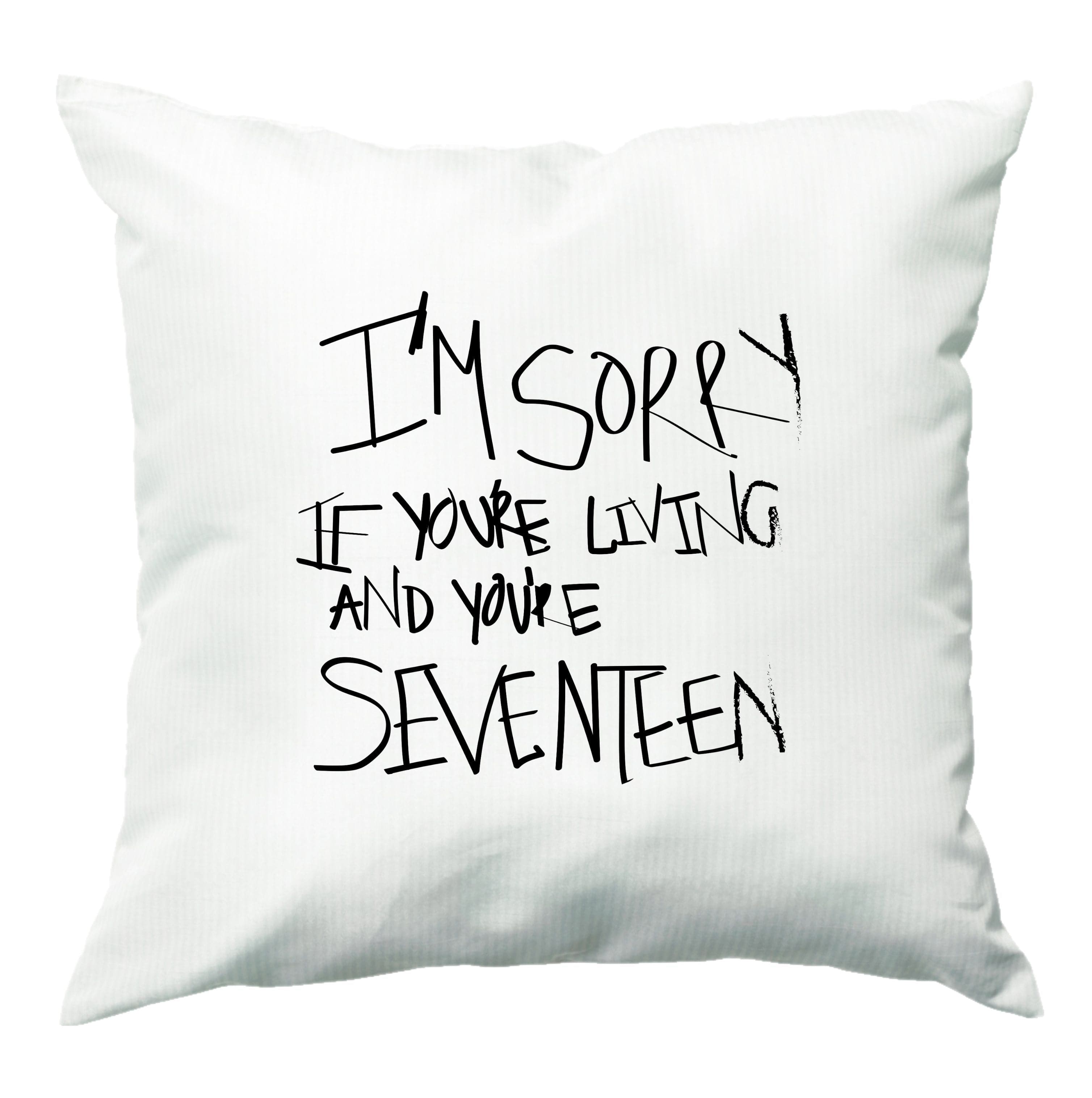 I'm Sorry - The 1975 Cushion