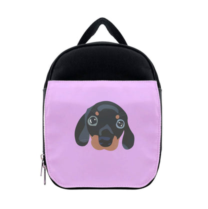 Black - Dachshunds Lunchbox