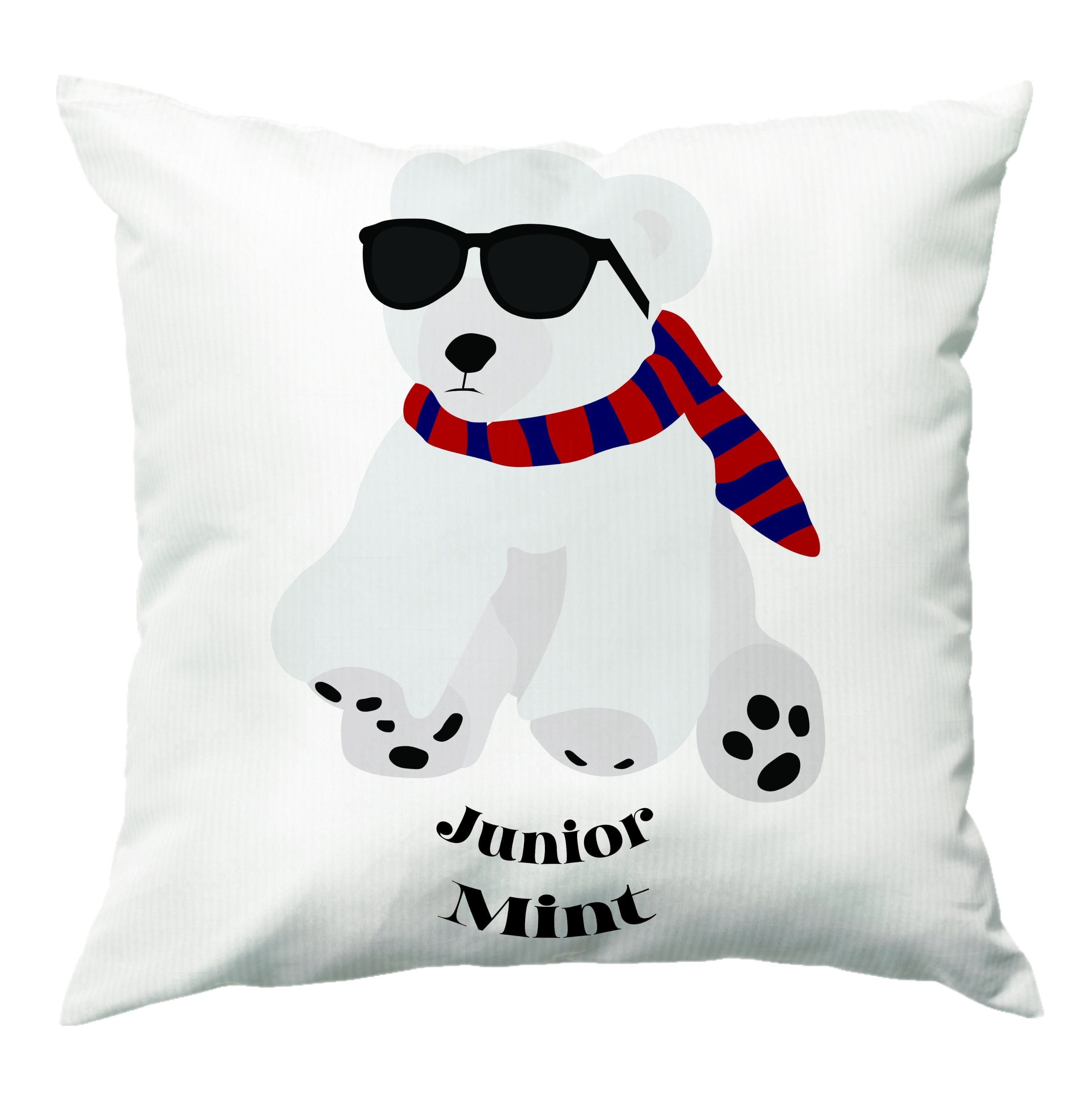 Junior Mint - TSITP Cushion