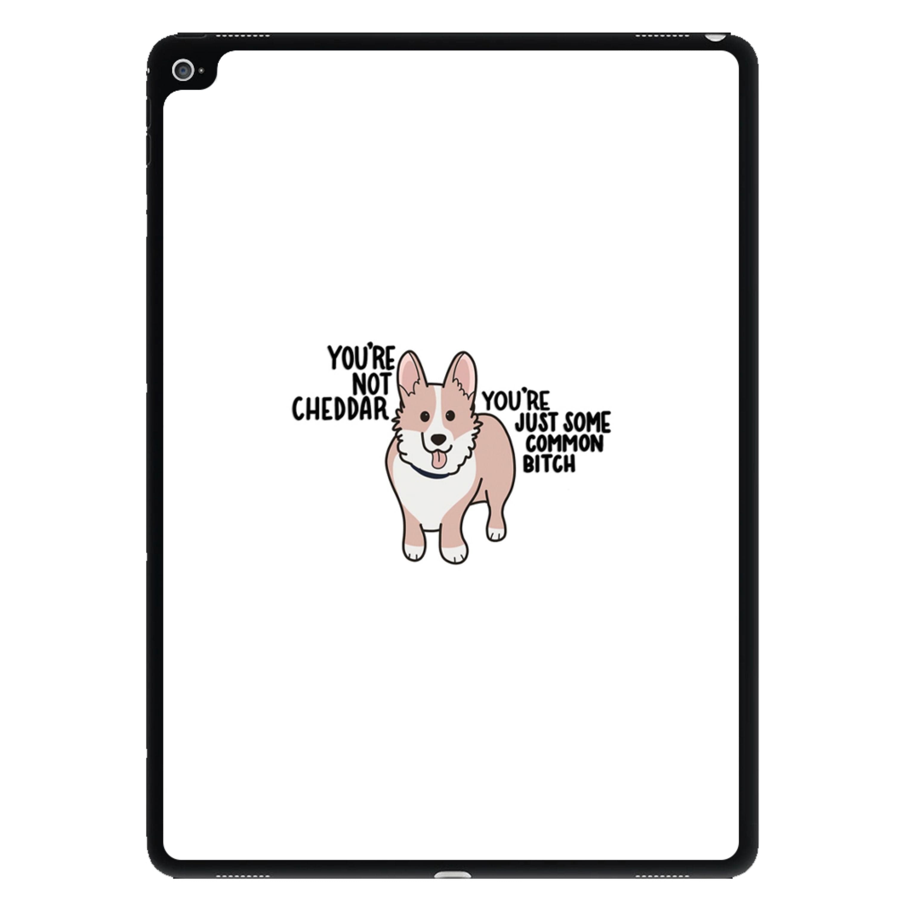 You're Not Cheddar - B99 iPad Case